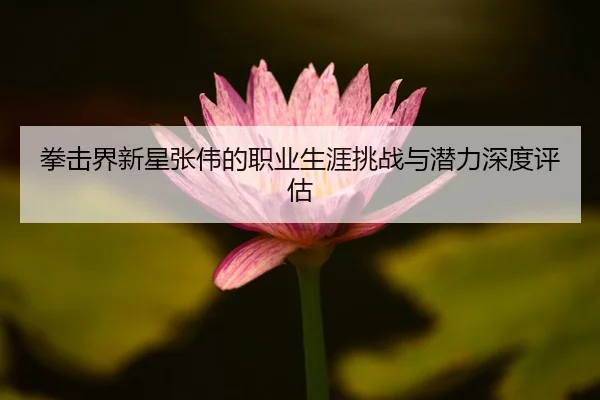 拳击界新星张伟的职业生涯挑战与潜力深度评估